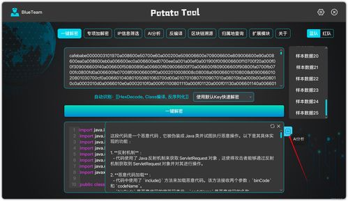 一键解密 网络安全神器现已问世，开启信息保护新时代